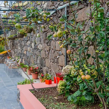 Countesses Vakantiehuis Câmara de Lobos