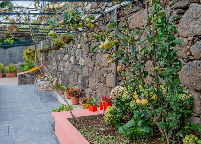 Countesses Holiday home Camara de Lobos